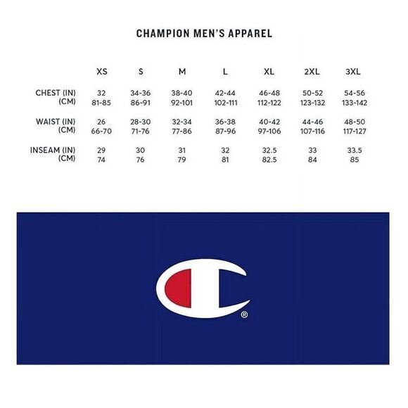 Champion Mens Gray Printed Nylon Casual Shorts NWT - Picture 3 of 7